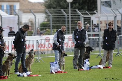 Remise des Prix 059.JPG - CHIENPLUS.COM